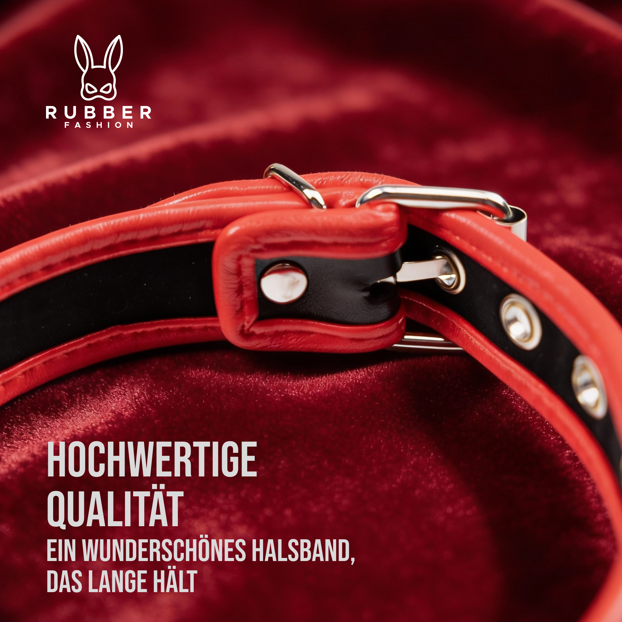 Leather collar with metal ring 